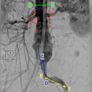 clinical_image_measurement_de